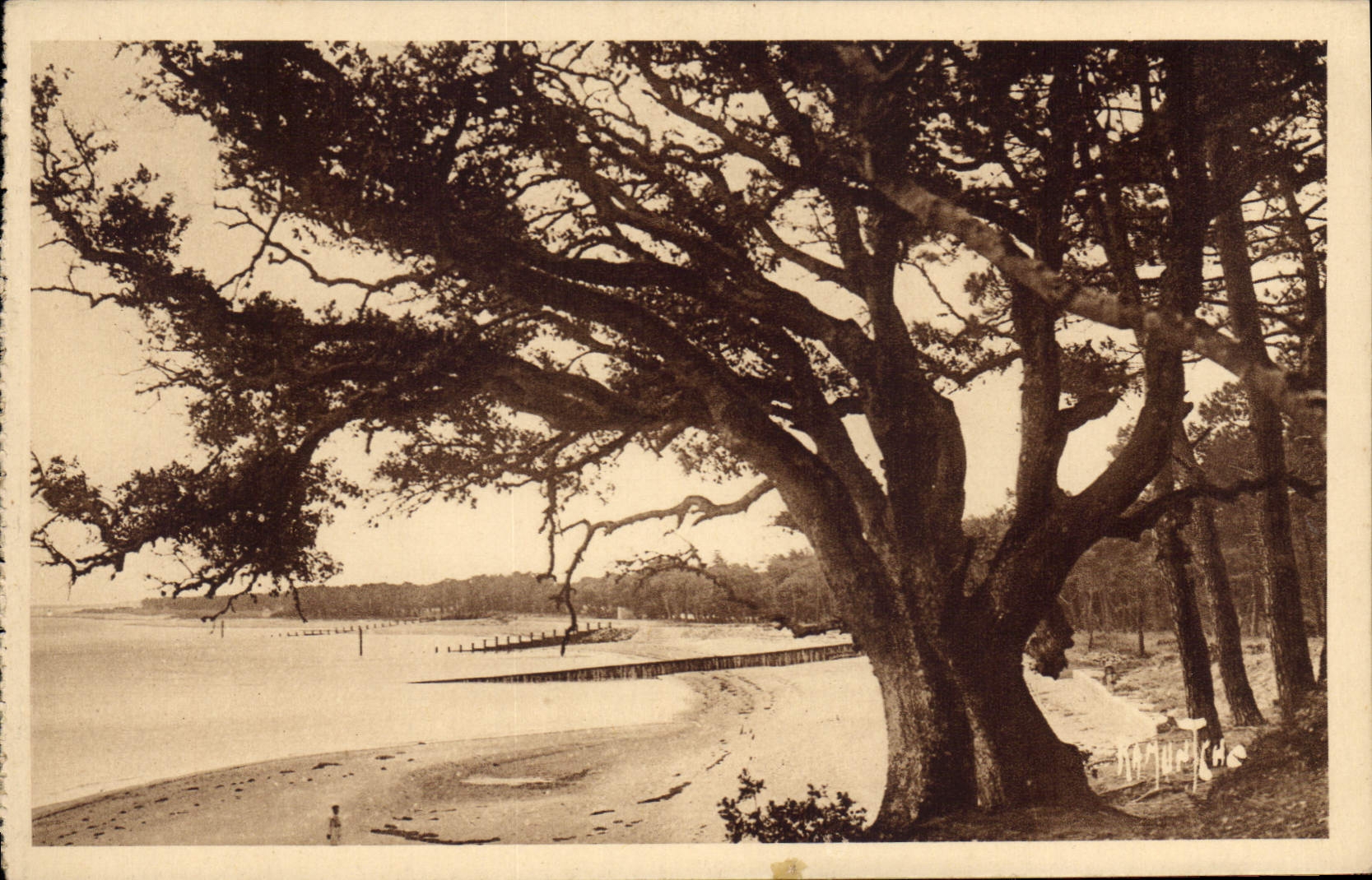 Insel Noirmoutier — Strand und Verteidigungen des Bois de la Chaize — Éditions Artistiques Raymond Bergerin