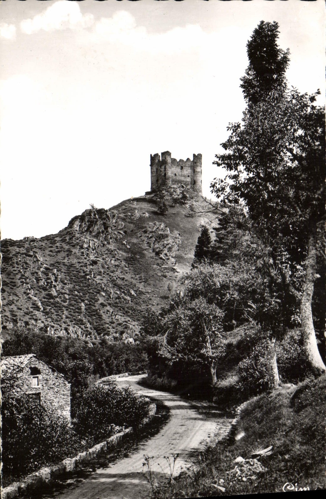 CPA Environs de Chaudes Aigues Cantal Le chateau d'Alleuze 