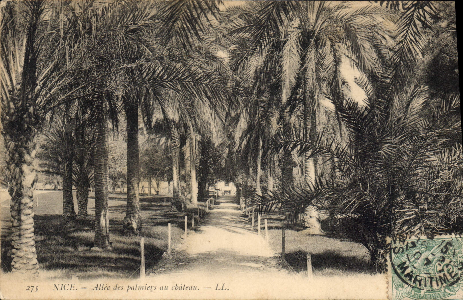Nice — Allée des palmiers au château — LL. n°275