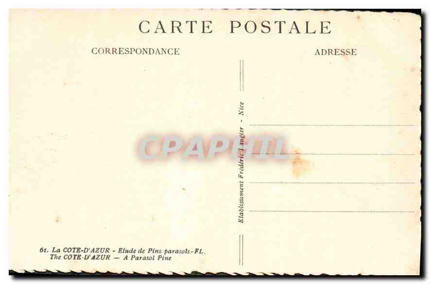 CPA La Cote d'Azur Etude de Pins parasols  — Rückseite