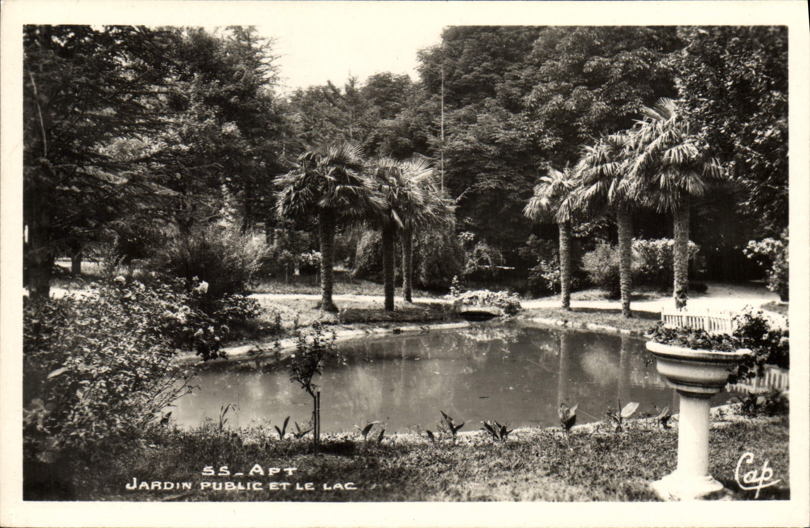 CPA Apt jardin public et le Lac 