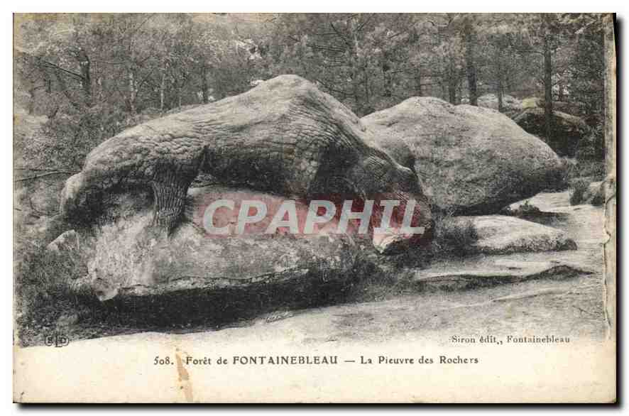 CPA Foret de Fontainebleau la Pieuvre des Rochers 