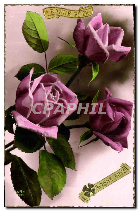 Roses violettes — Bonne Fête — éditeur ARS n°7034