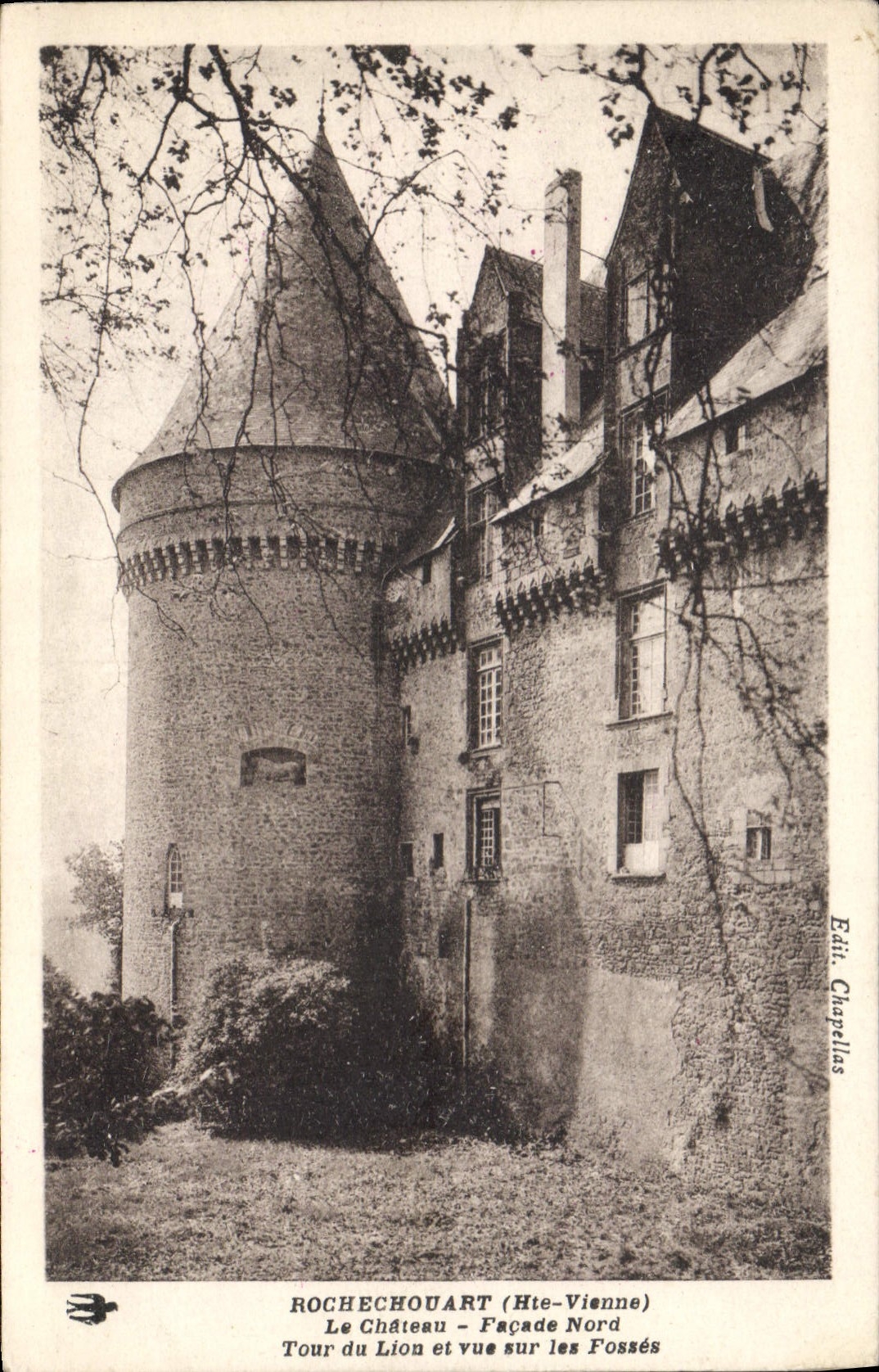 CPA Rochechouart Hte Vienne Le Chateau Tour du Lion 