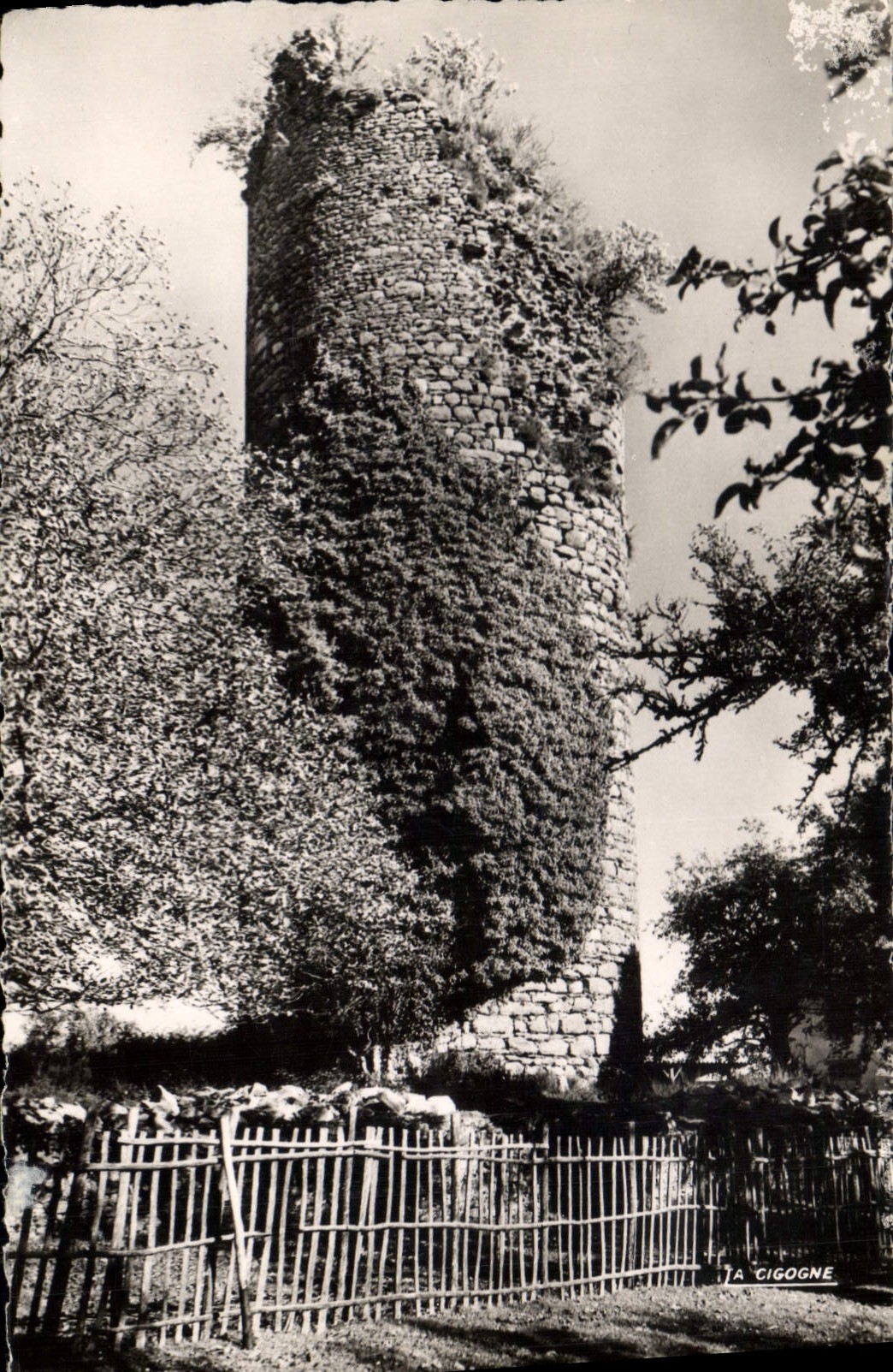 CPA Chalus Hte Vienne La Tour du Chateau 