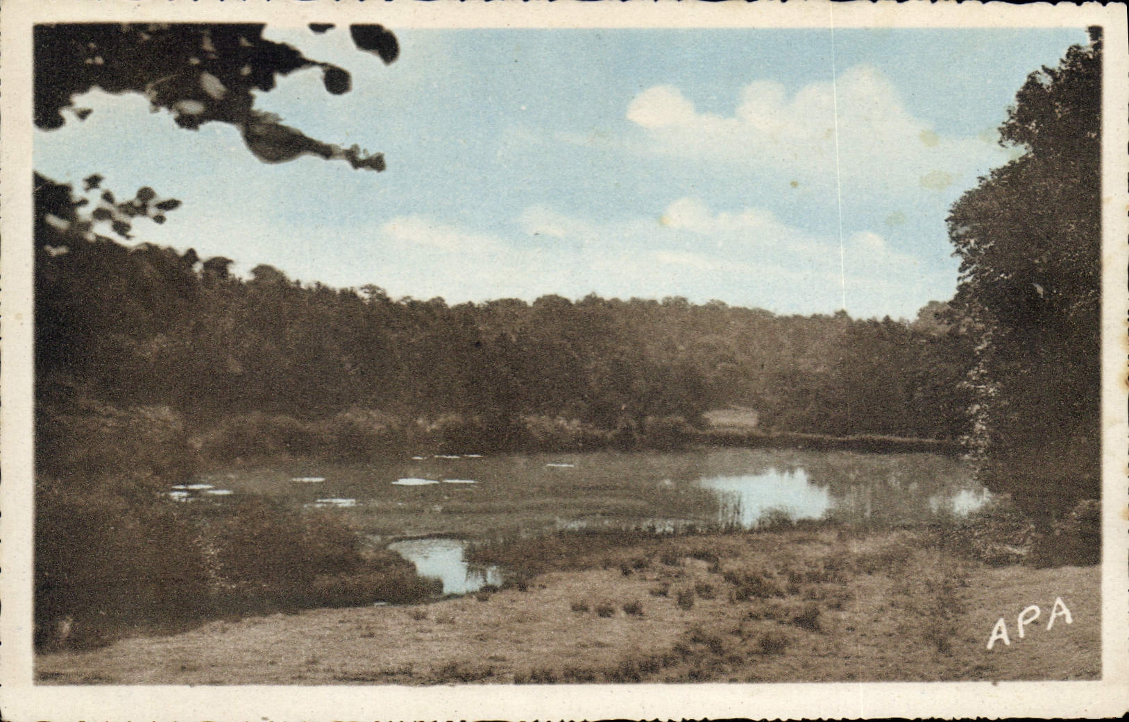 CPA Bonnac la Cote H V Etang de Leychoisier 