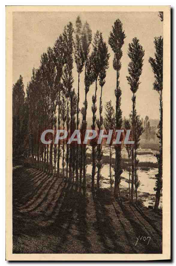 Die Großen Poplars An Den Ufern Der Dordogne — Die Region Limousin — Kunstausgabe YVON