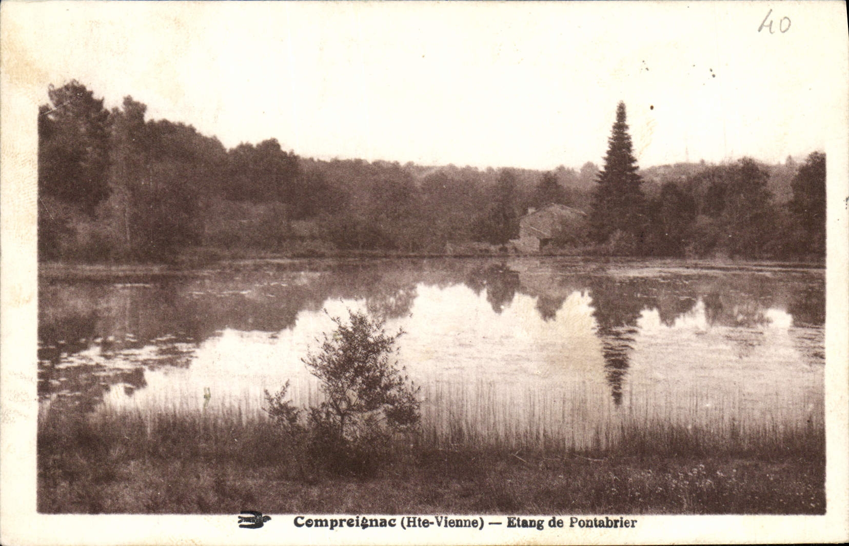 Comprenignac (Hte-Vienne) — Etang de Pontabrier — n°40