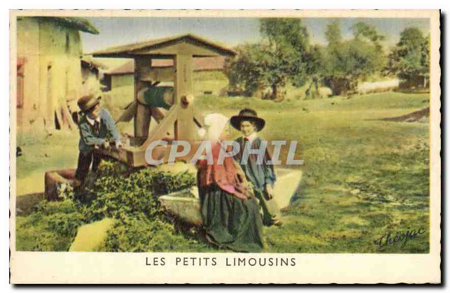 Les Petits Limousins — scène de vie rurale — Théo Jac