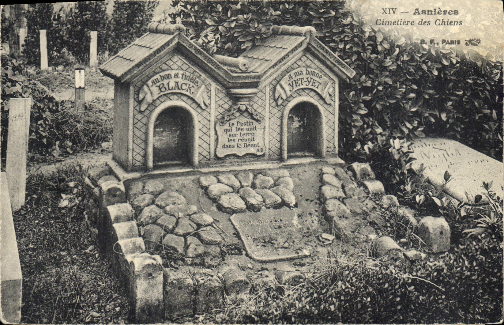 CPA Asnieres Cimetiere des Chiens 