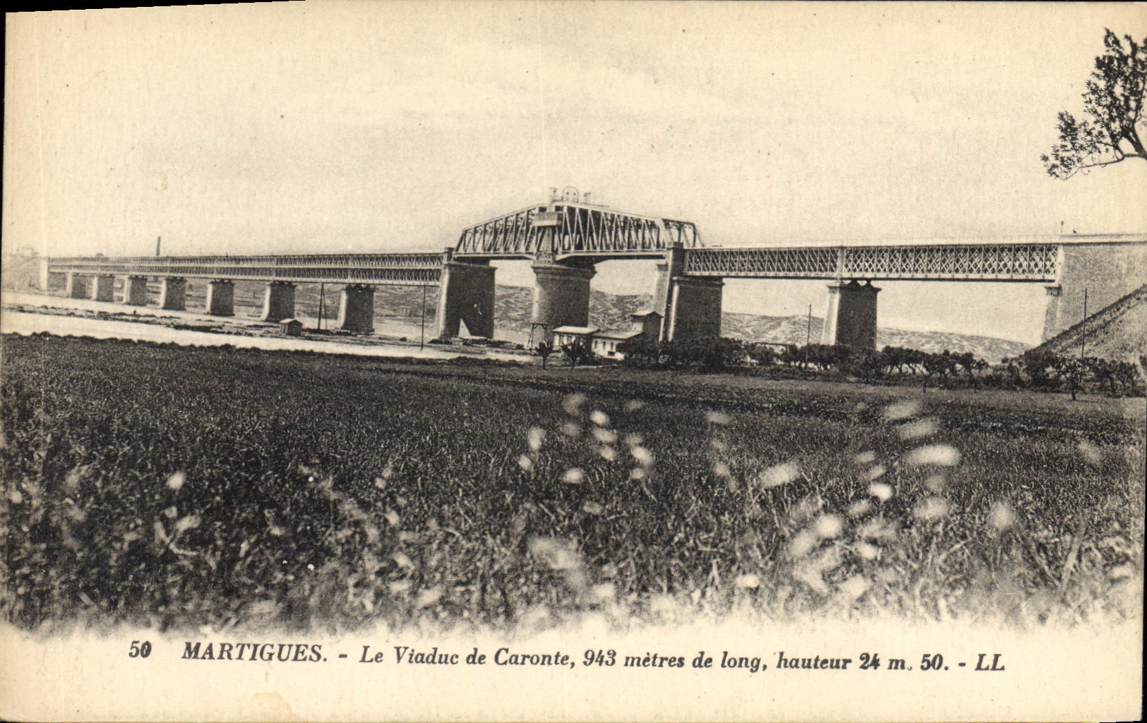 Martigues — Le Viaduc de Caronte, 943 mètres de long, hauteur 24 m. 50. — LL