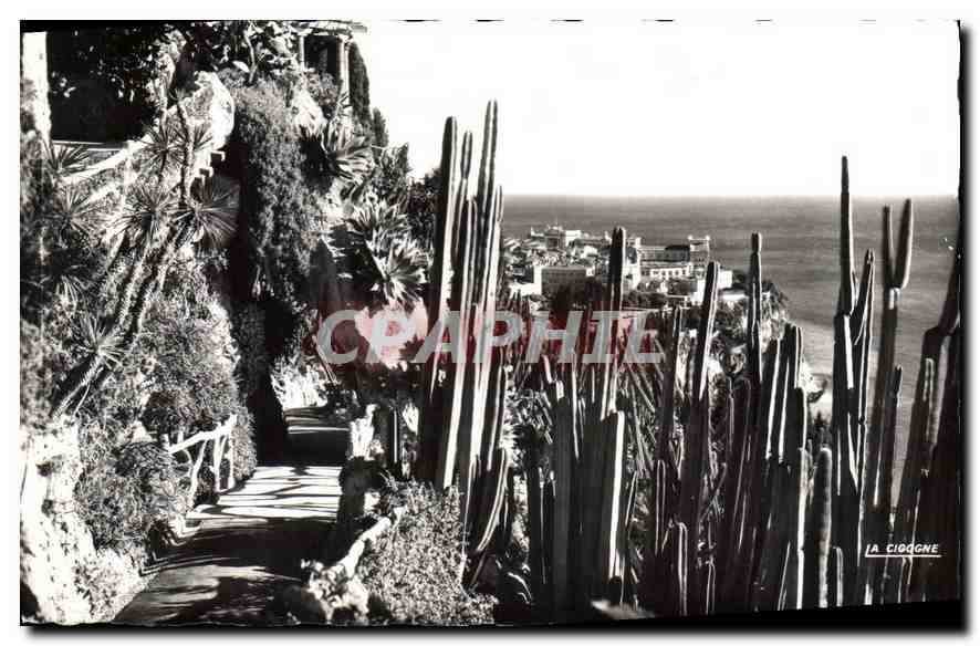 CPA Principaute de Monaco Le Jardin Exotique et vue sur le Rocher 
