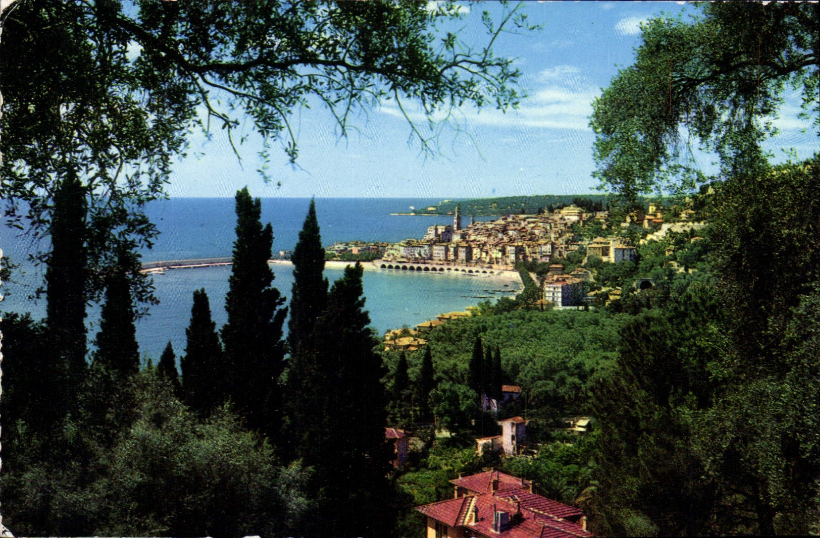 CPA Menton A M Vue generale prise a travers des Oliviers 
