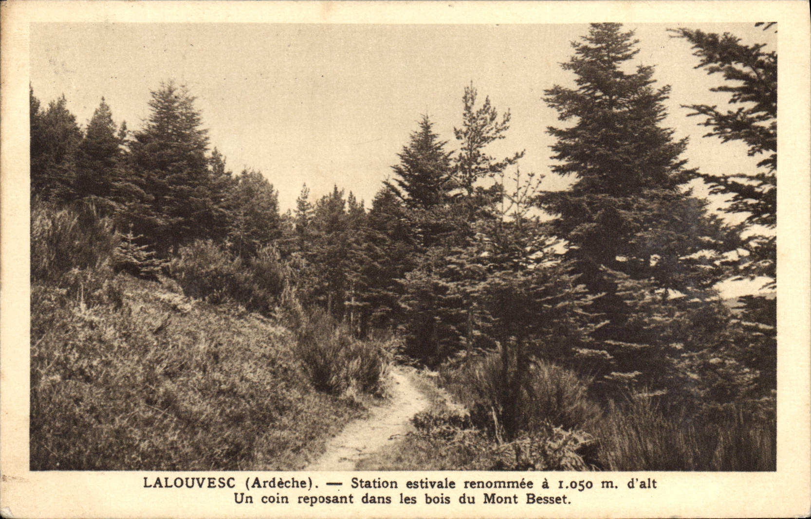 Lalouvesc (Ardèche) — Station estivale renommée à 1.050 m. d'alt. — Un coin reposant dans les bois du Mont Besset