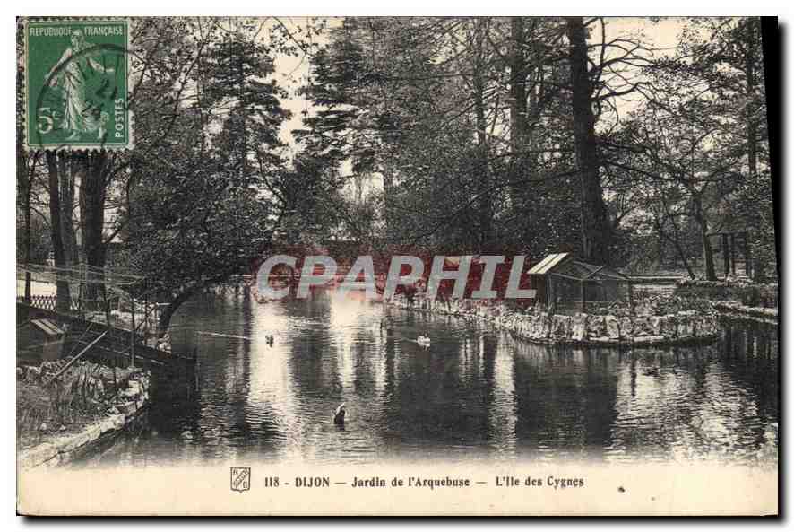 CPA Dijon jardin de l'Arquebuse l'Ille des Cygnes 