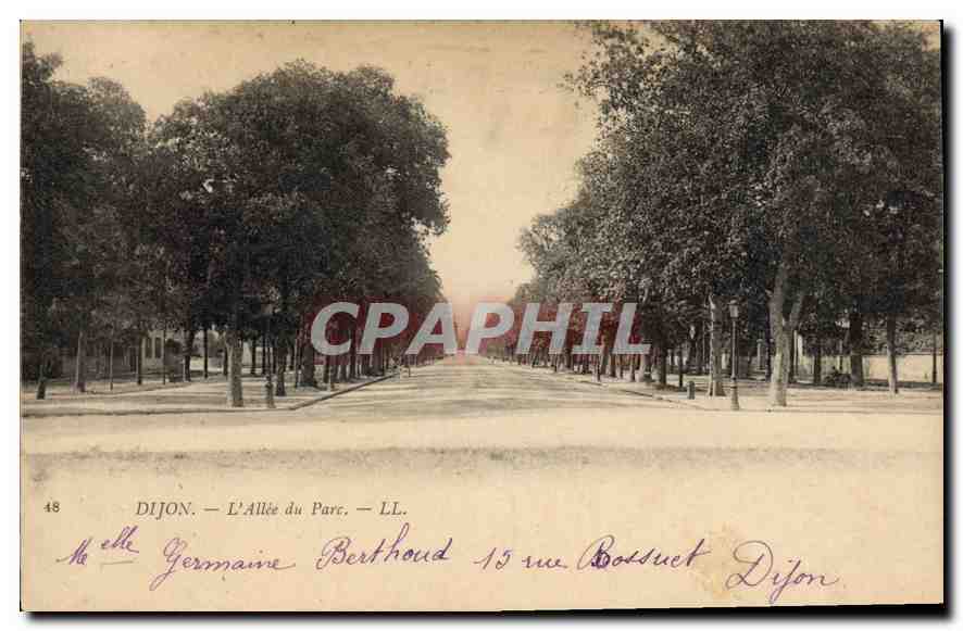 CPA Dijon l'Allee du parc 
