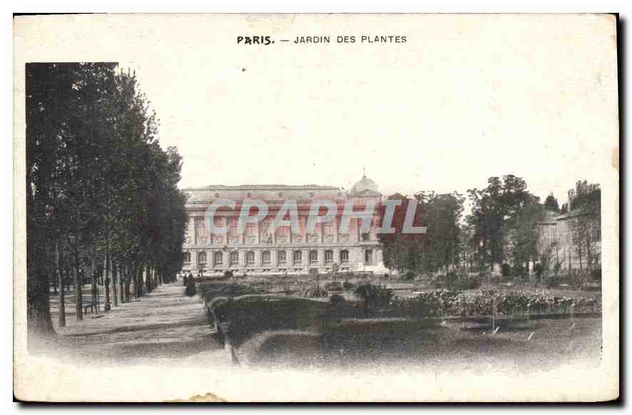 CPA Paris jardin des Plantes 