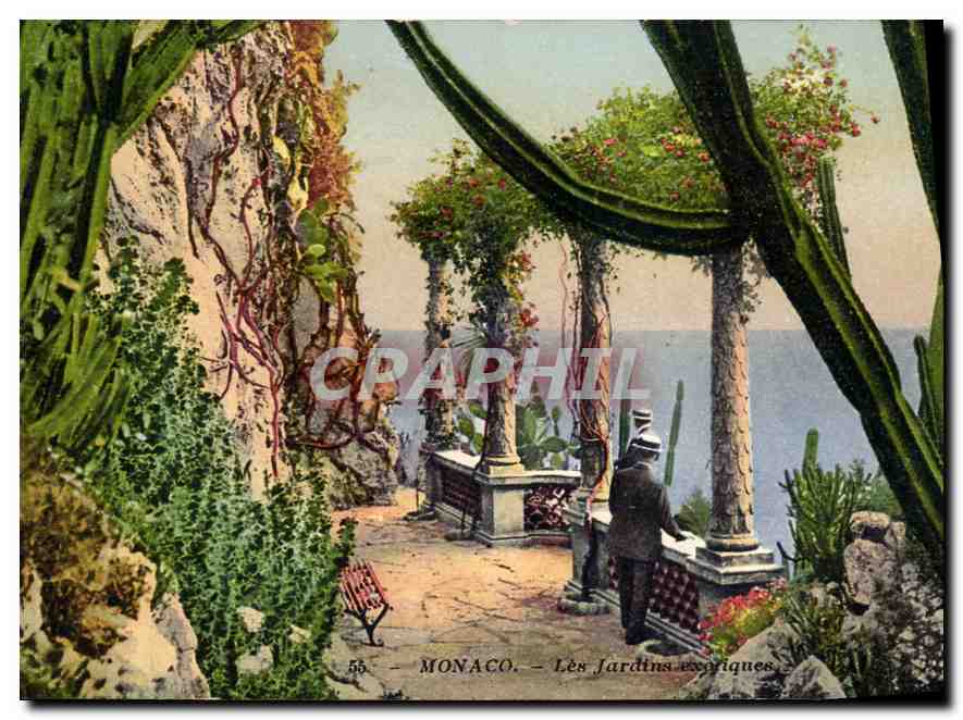 CPA Monaco les jardins exotiques 