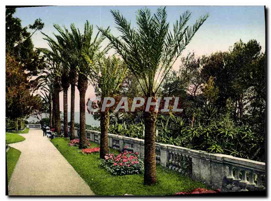 CPA La Cote d'Azur Cap d'Antibes Villa Eilenroc Allee de Palmiers 