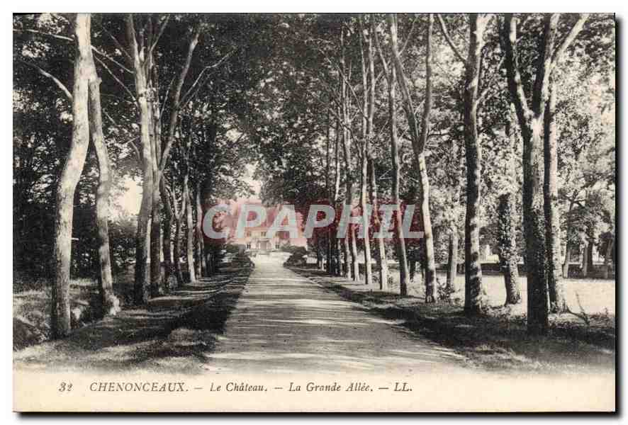 CPA Chenonceaux Le Chateau La Grande Allee 