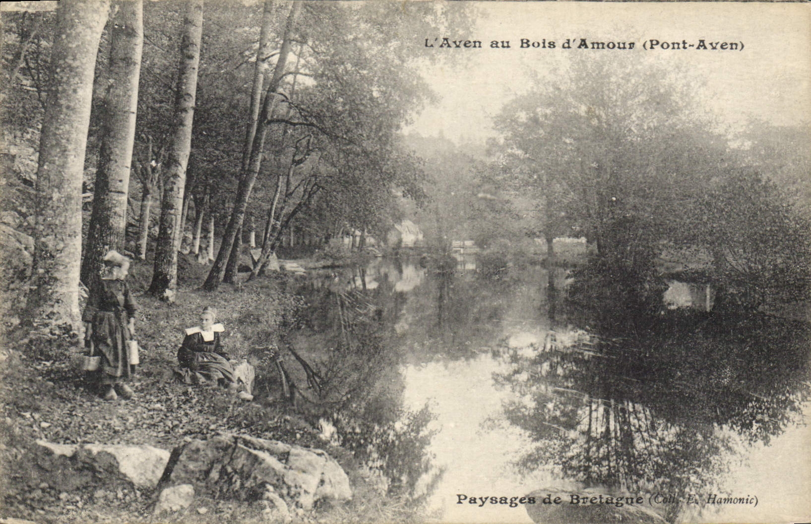 CPA L'Aven au bois d'Amour Pont Aven Paysages de Bretagne 