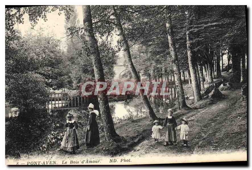 CPA Pont Aven le Bois d'Amour 