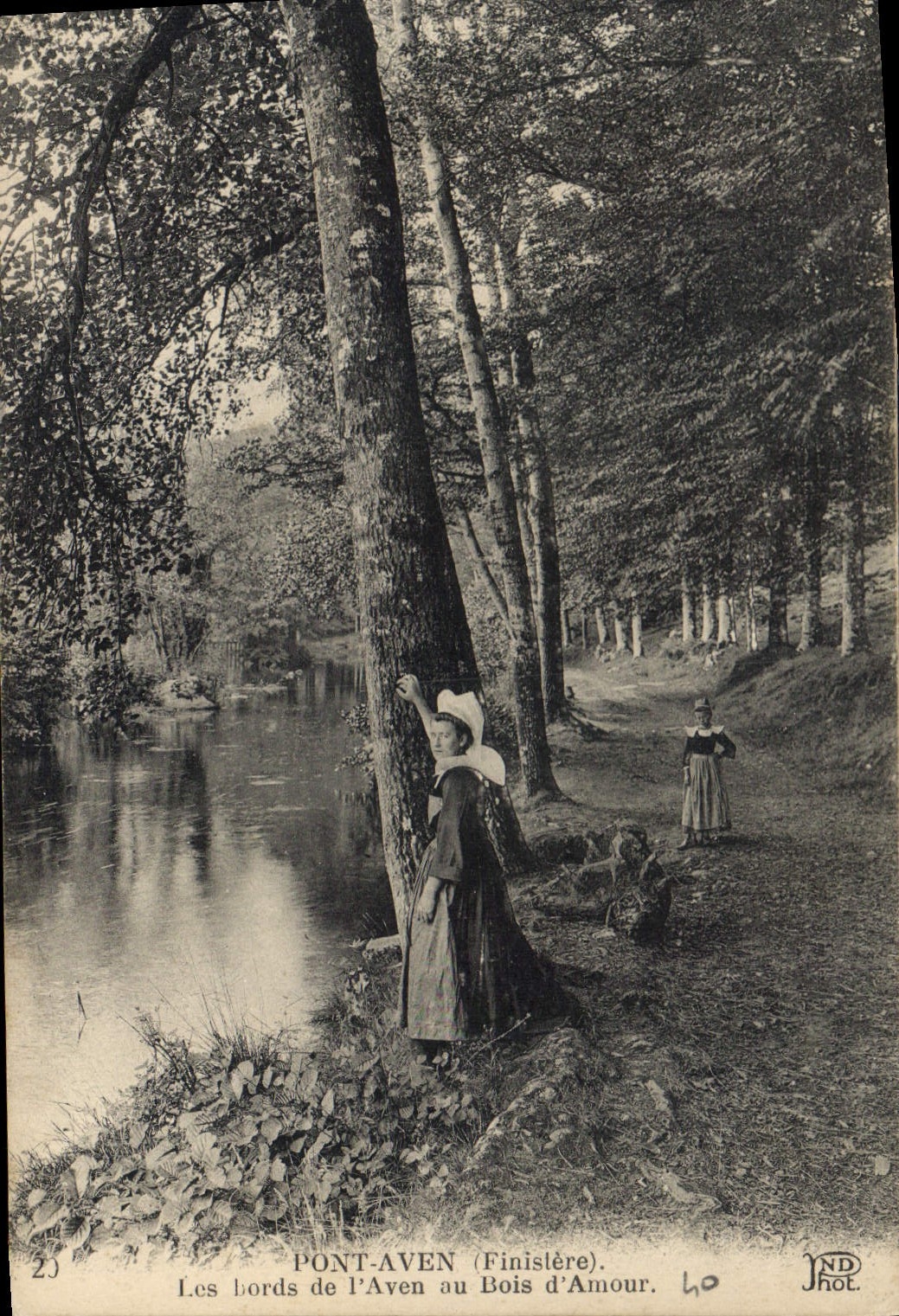 CPA Pont Aven Finistere les bords de l'Aven du Bois d'Amour 