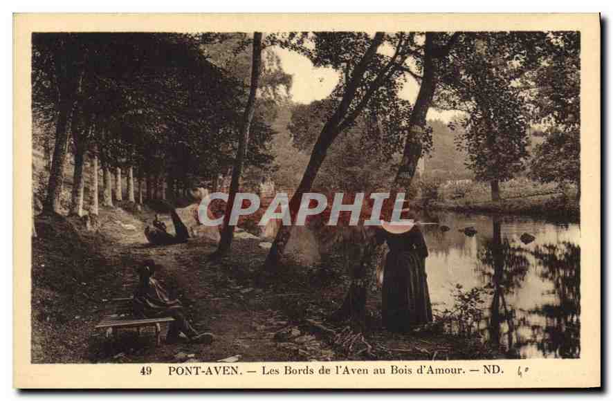 CPA Pont Aven les Bords de l'Aven au Bois d'Amour 
