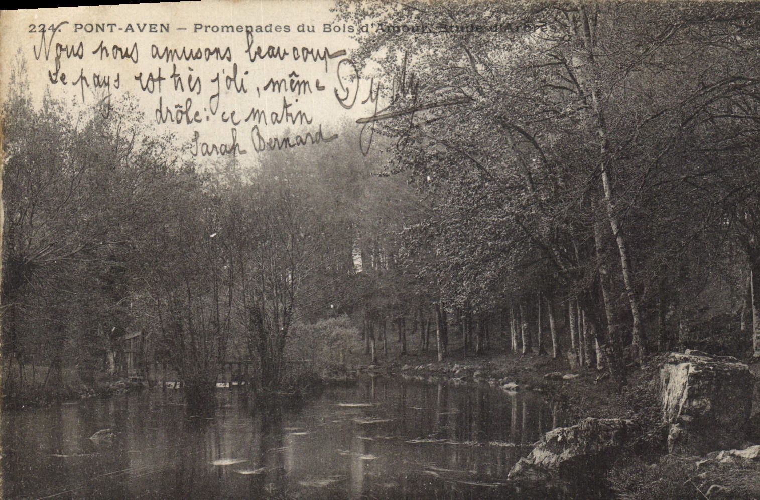 CPA Pont Aven Promenades du Bois d'Amour 