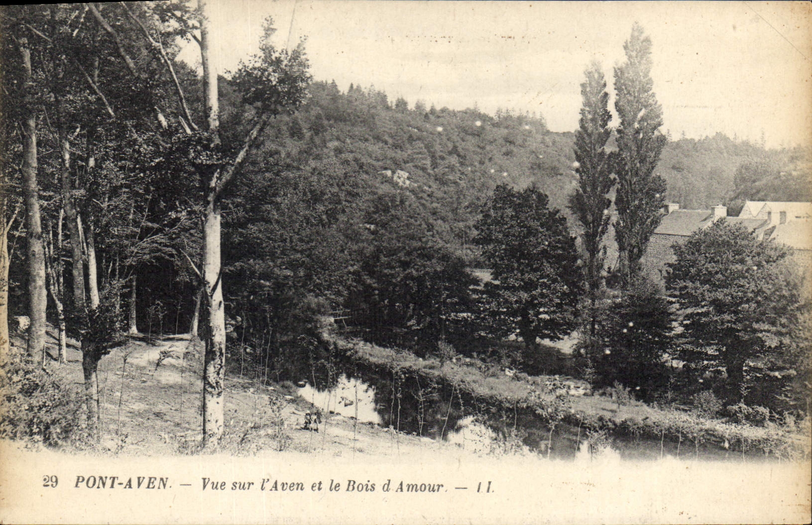 CPA Pont Aven Vue sur l'Aven et le Bois d'Amour 