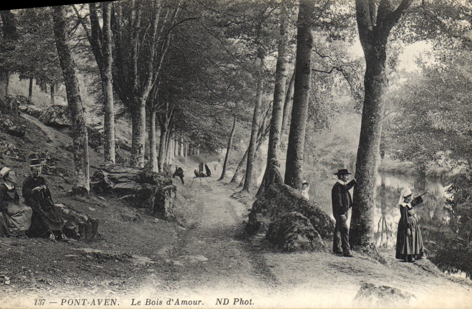 CPA Pont Aven Le Bois d'Amour 