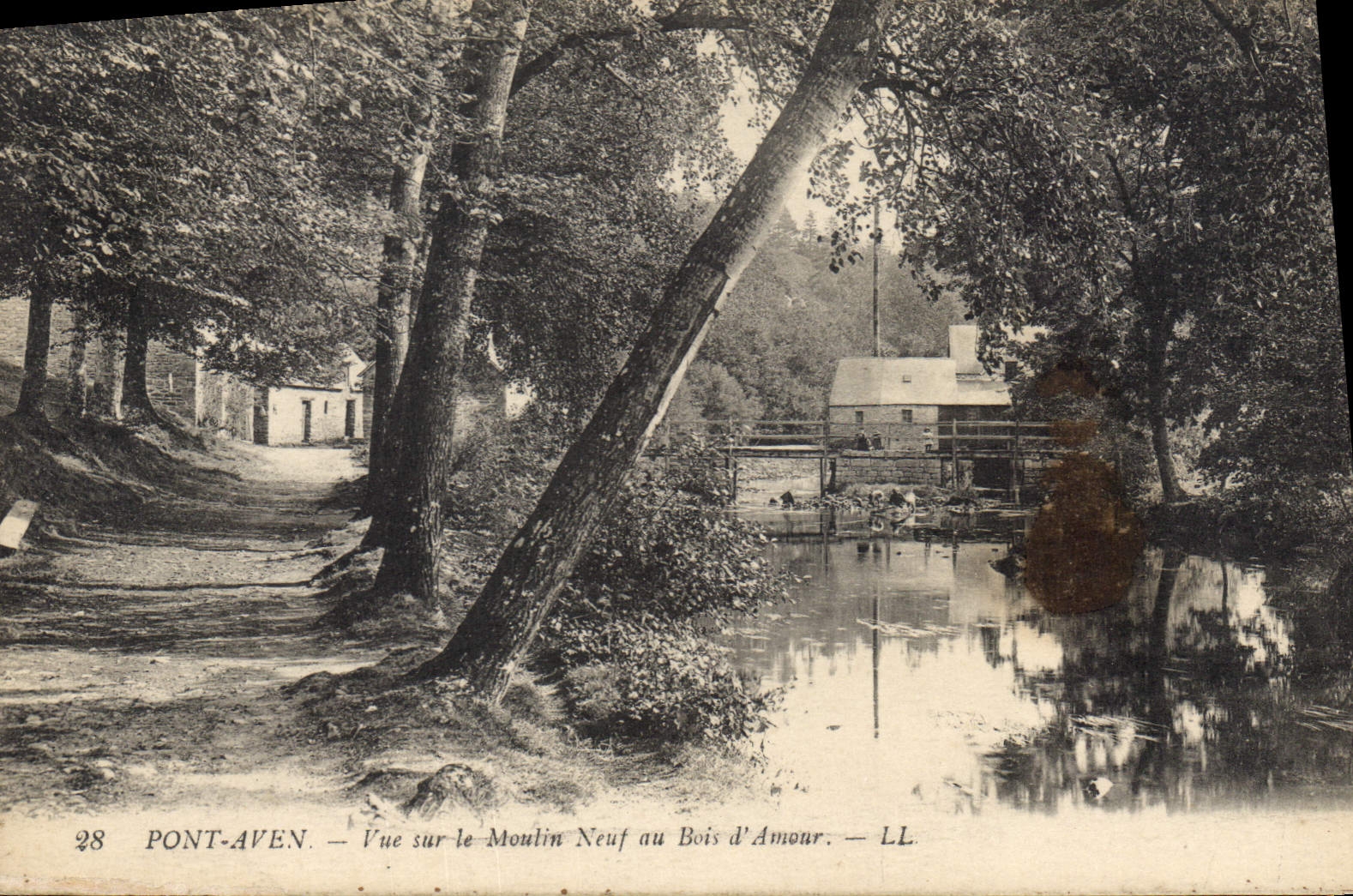 CPA Pont Aven Vue sur le Moulin Neuf au Bois d'Amour 