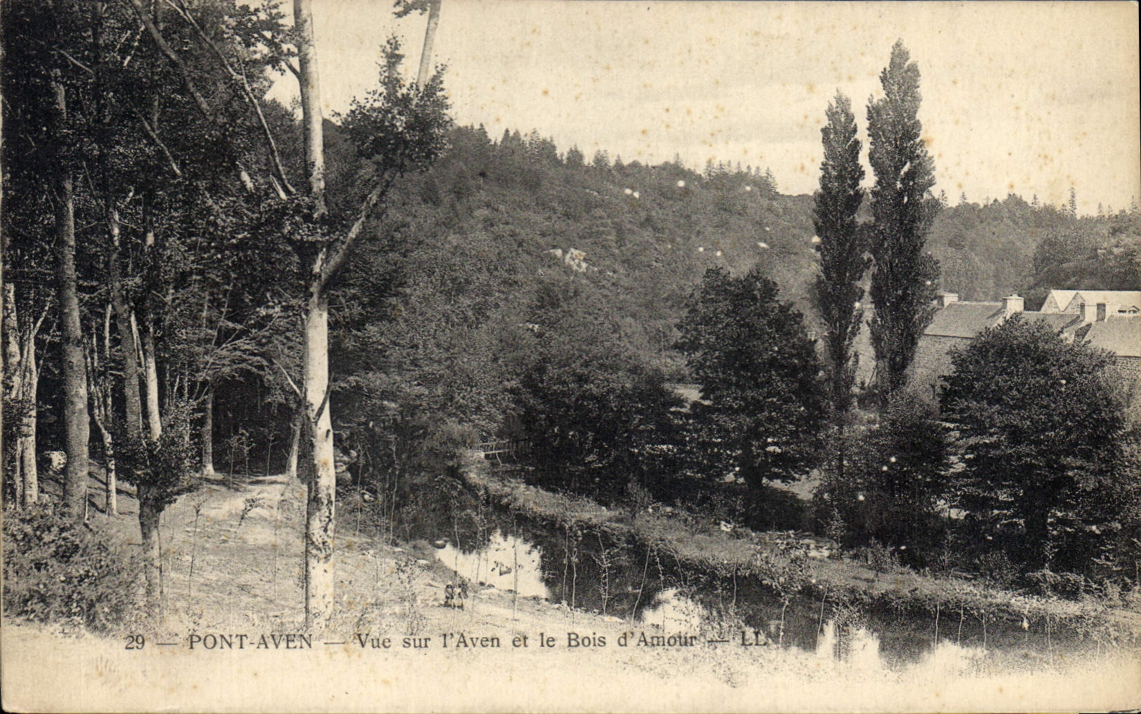 CPA Pont Aven Vue sur l'Aven et le Bois d'Amour 