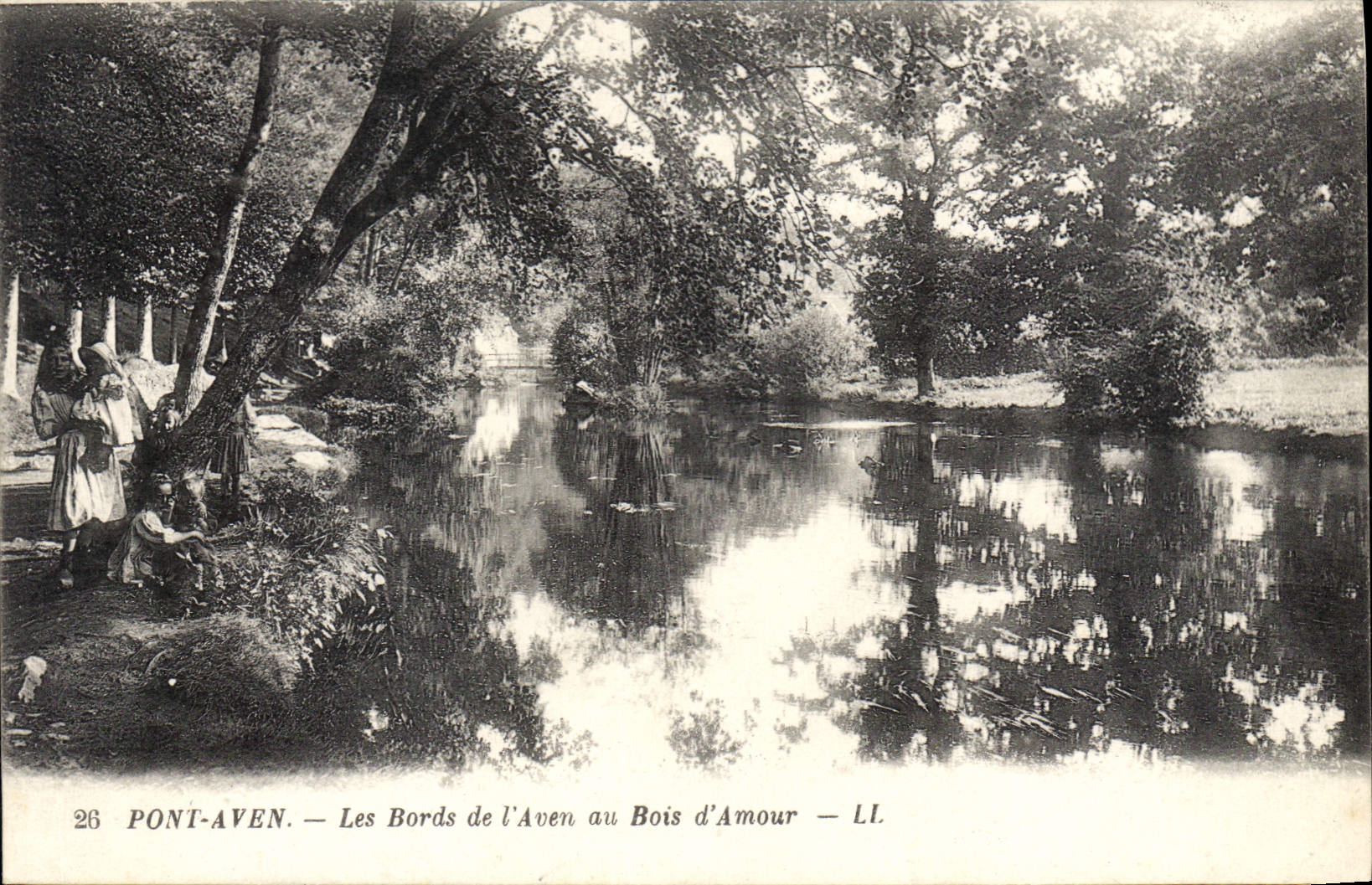 CPA Pont Aven Les Bords de l'Aven au Bois d'Amour 