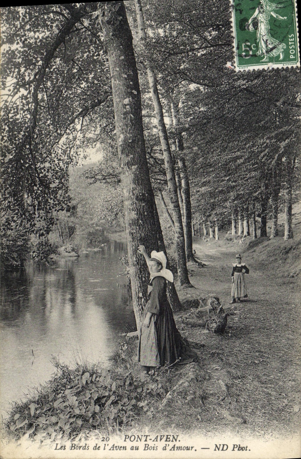 CPA Pont Aven Les Bords de l'Aven au Bois d'Amour 