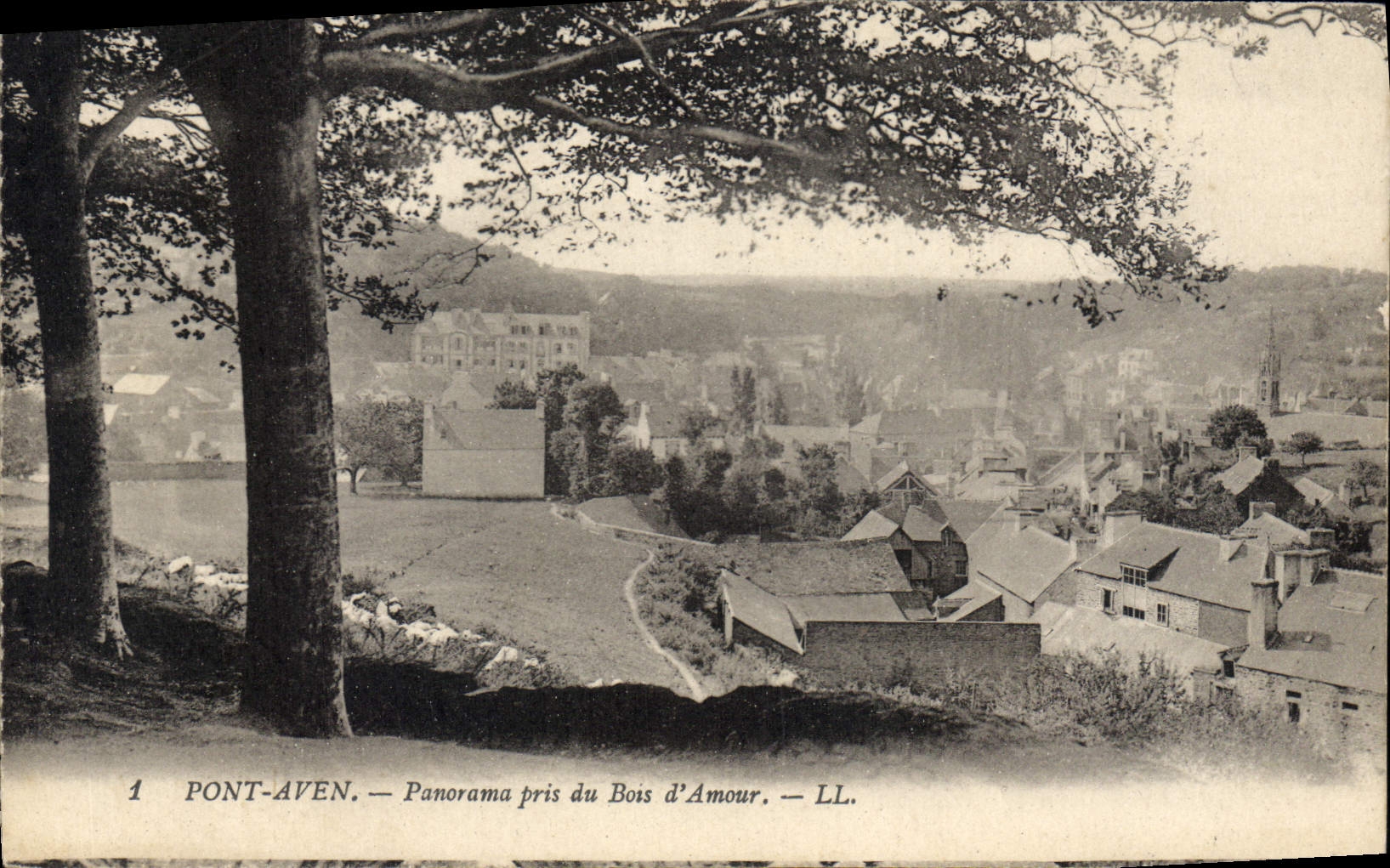 CPA Pont Aven Panorama pris du Bois d'Amour 