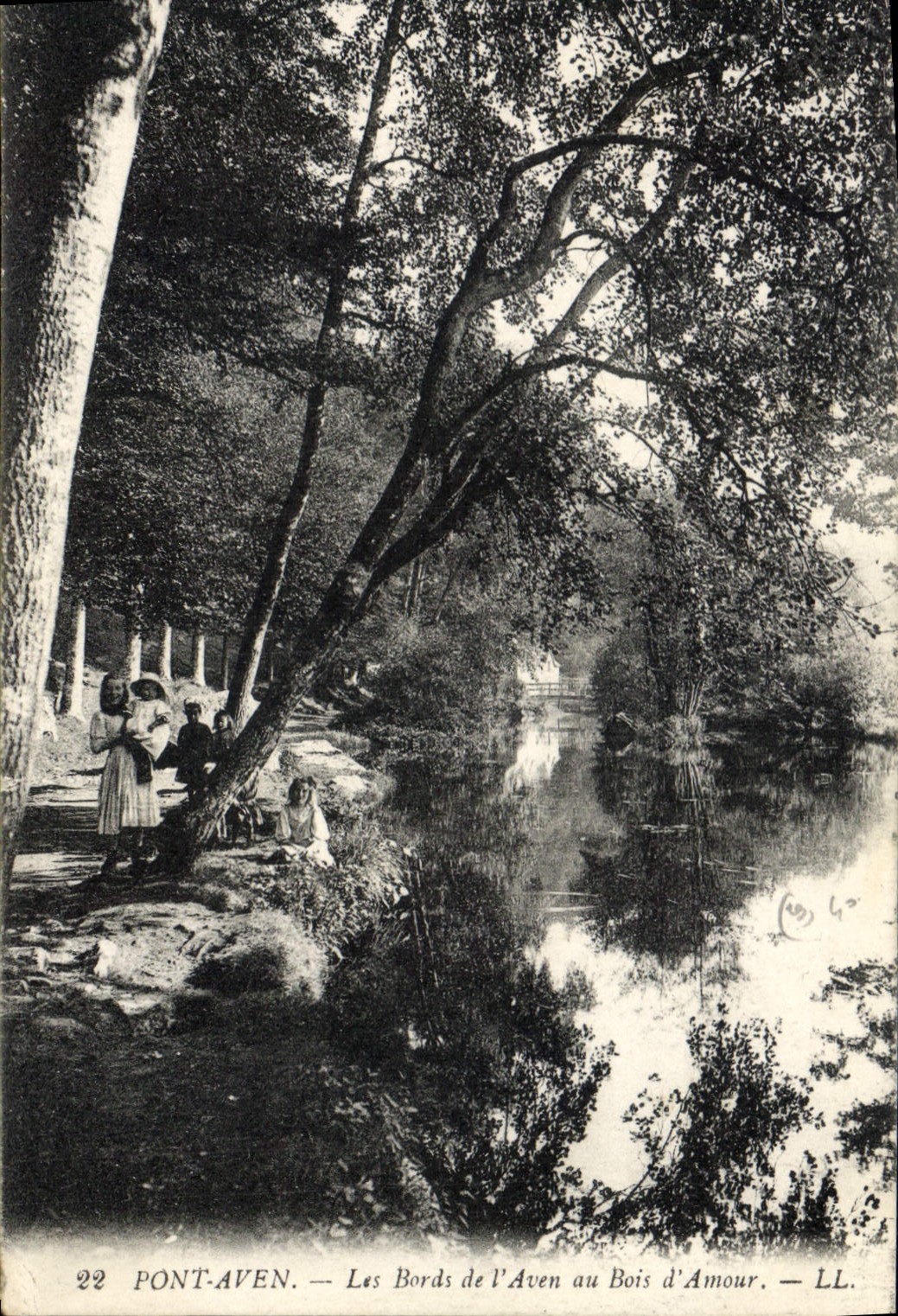 CPA Pont Aven Les Bords de l'Aven au Bois d'Amour 