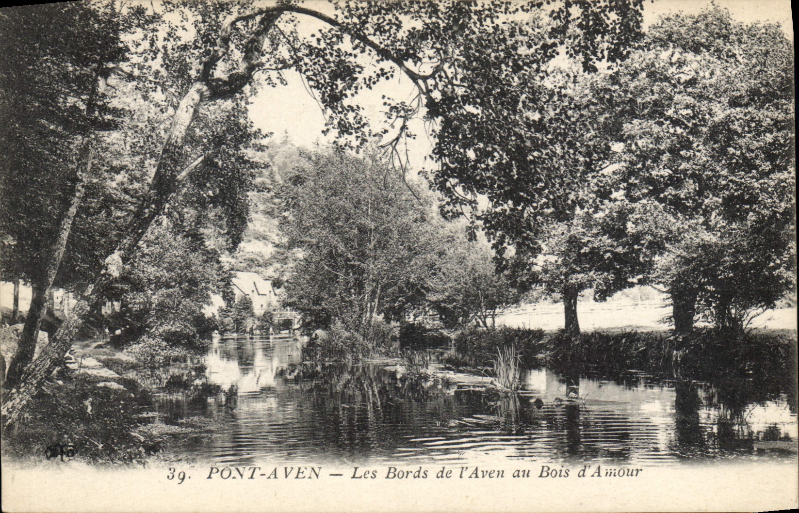 CPA Pont Aven Les Bords de l'Aven au Bois d'Amour 