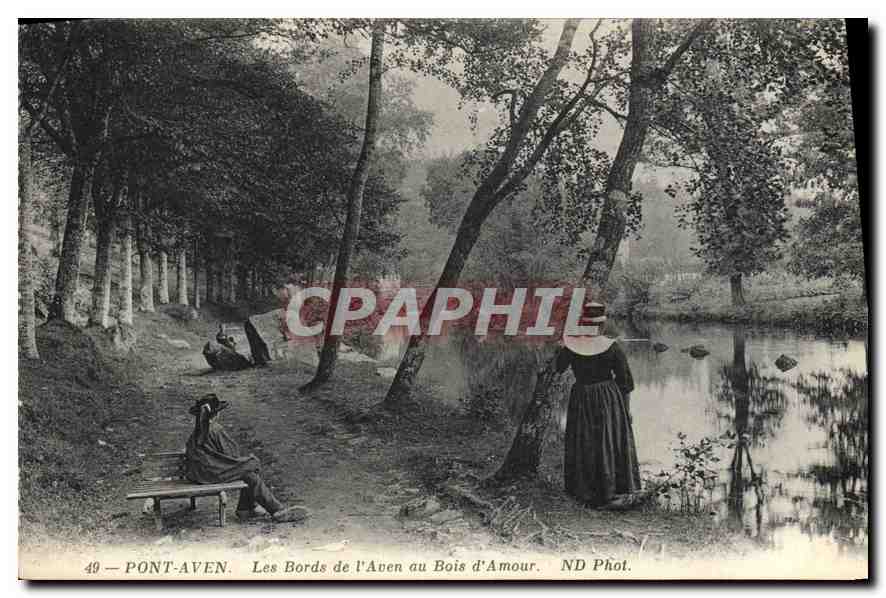 CPA Pont Aven Les Bords de l'Aven au Bois d'Amour 