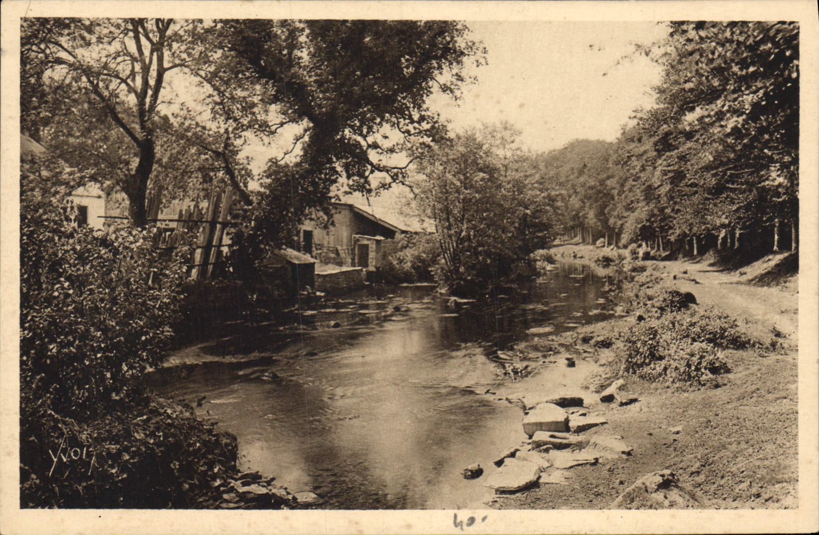 CPA Bretagne Pont Aven Finistere l'Aven au Bois d'Amour 