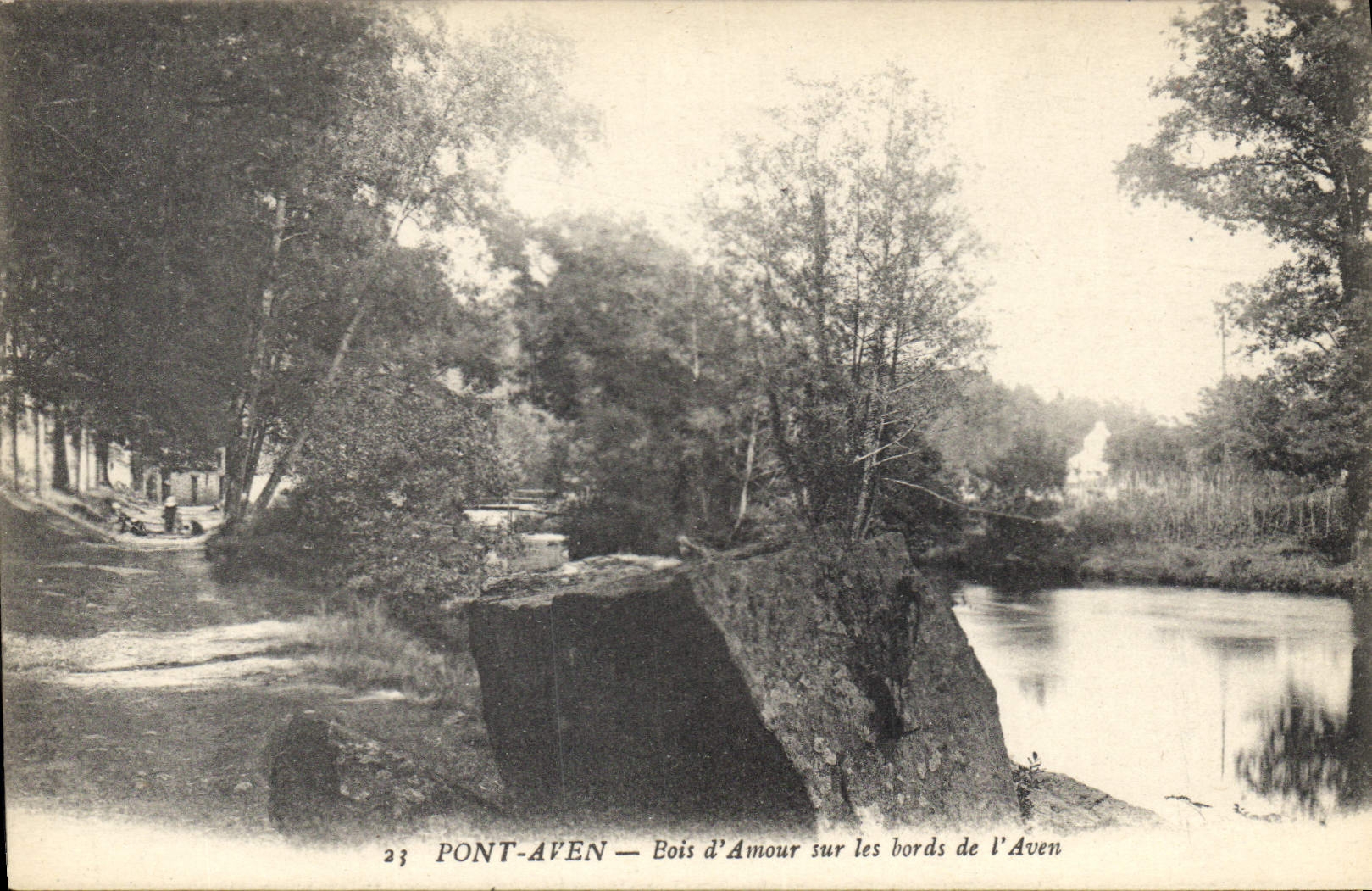 CPA Pont Aven Bois d'Amour sur les bords de l'Aven 