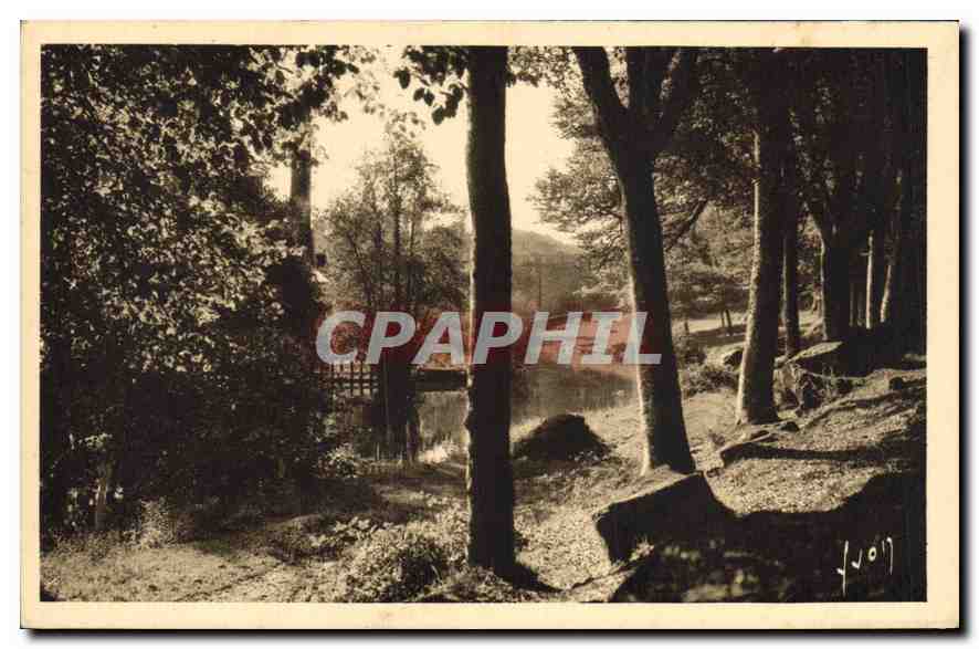 CPA Pont Aven Finistere l'Aven au Bois d'Amour 