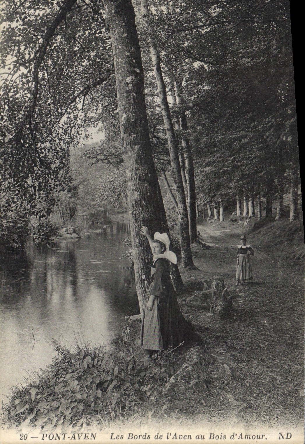 CPA Pont Aven Les Bords de l'Aven au Bois d'Amour 