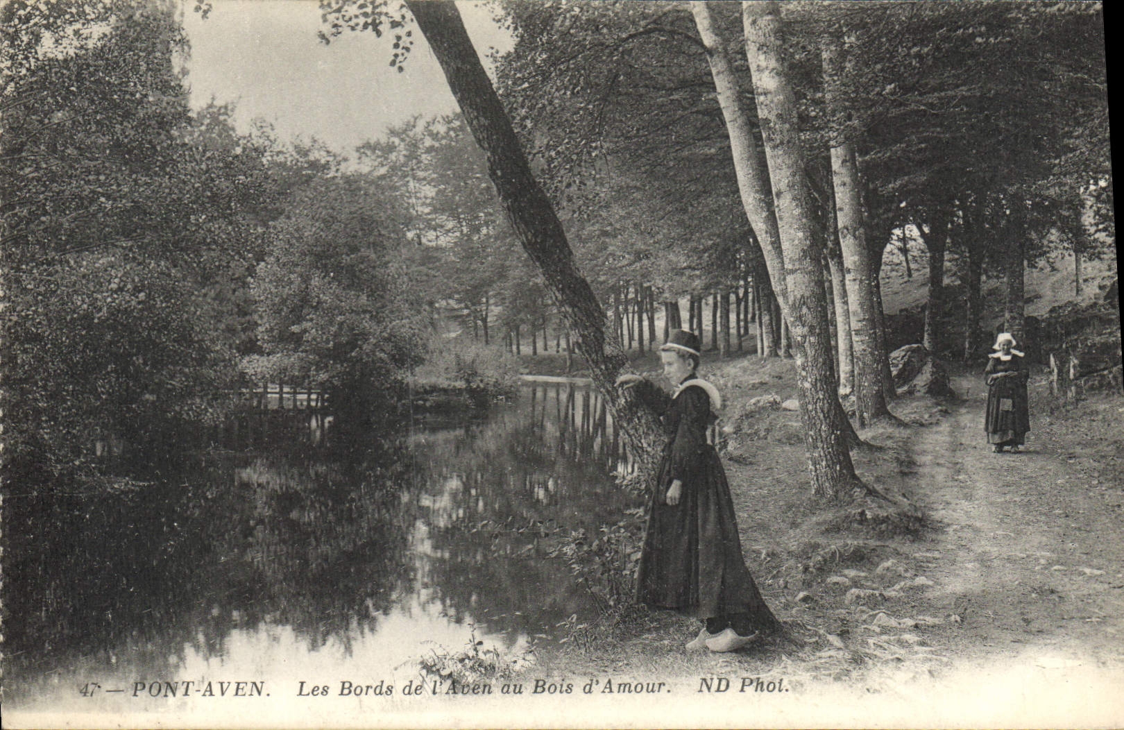 CPA Pont Aven Les Bords de l'Aven au Bois d'Amour 