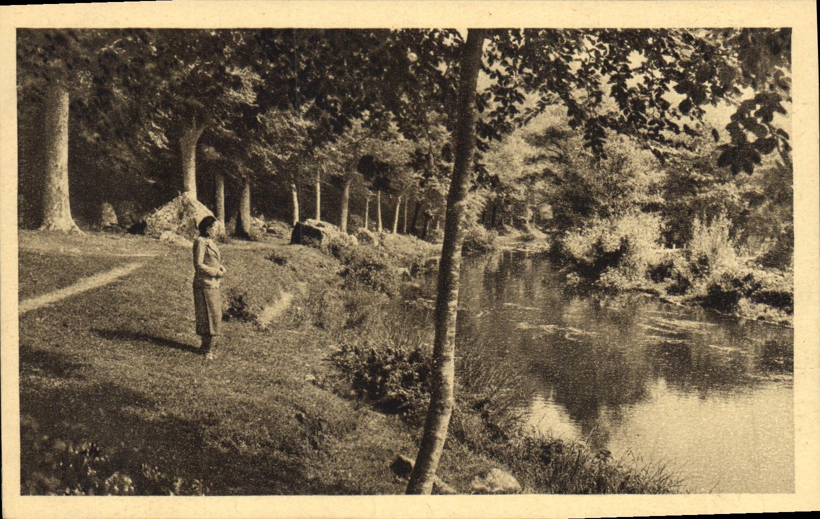 CPA Pont Aven Le Bois d'Amour 