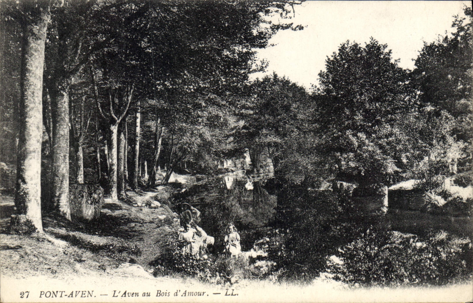 CPA Pont Aven l'Aven au Bois d'Amour 