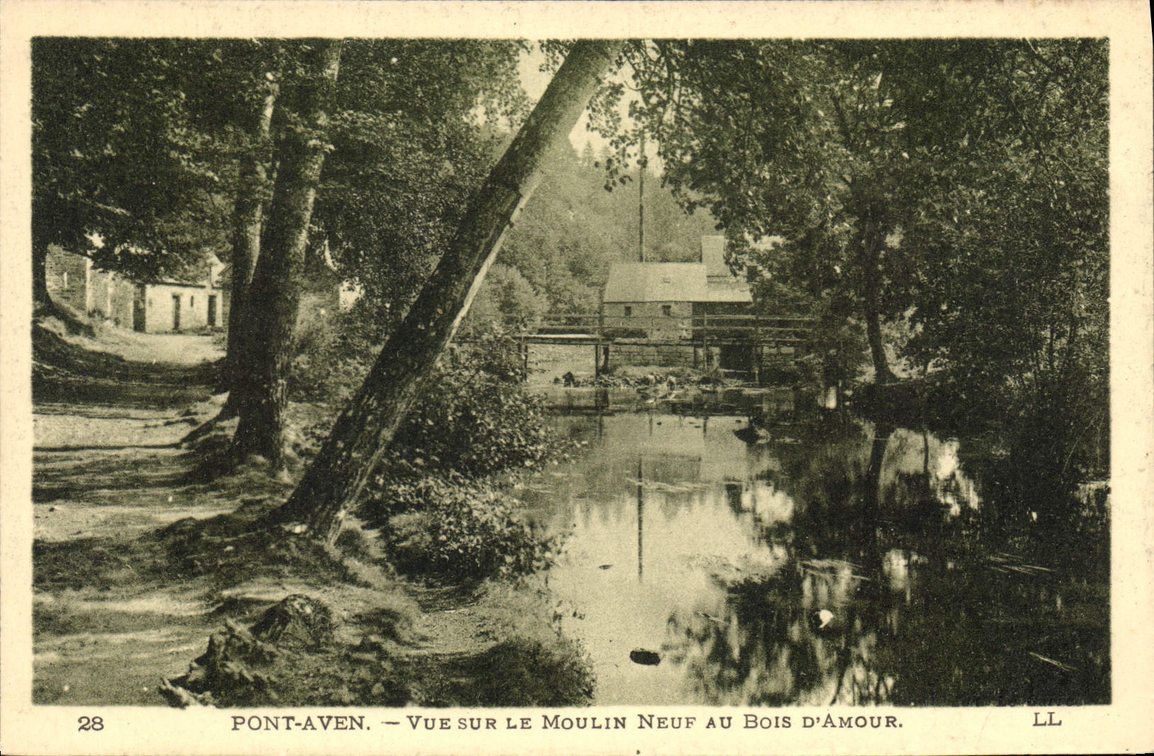 CPA Pont Aven Vue sur le Moulin Neuf au Bois d'Amour 