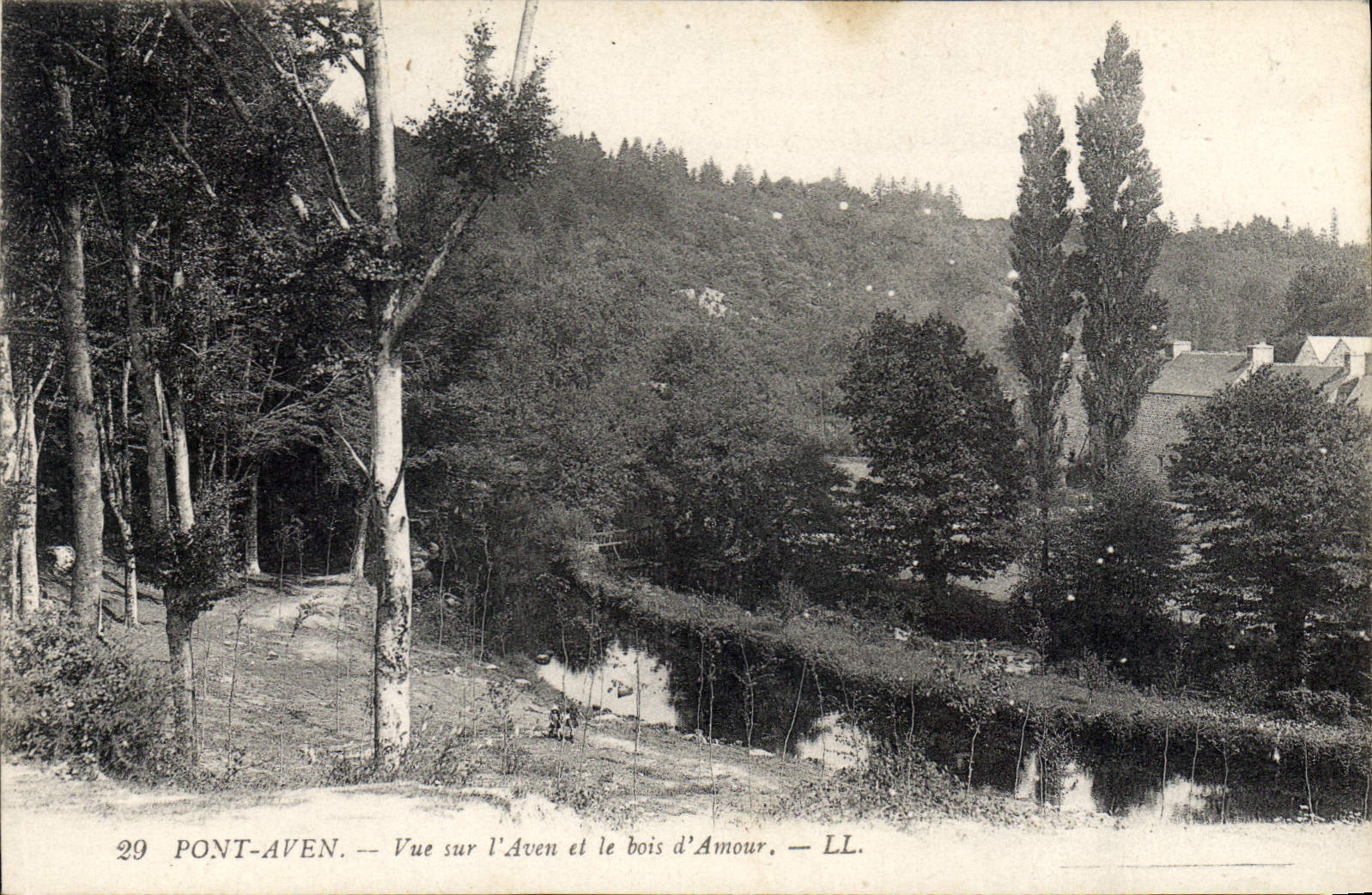 CPA Pont Aven Vue sur l'Aven et le bois d'Amour 