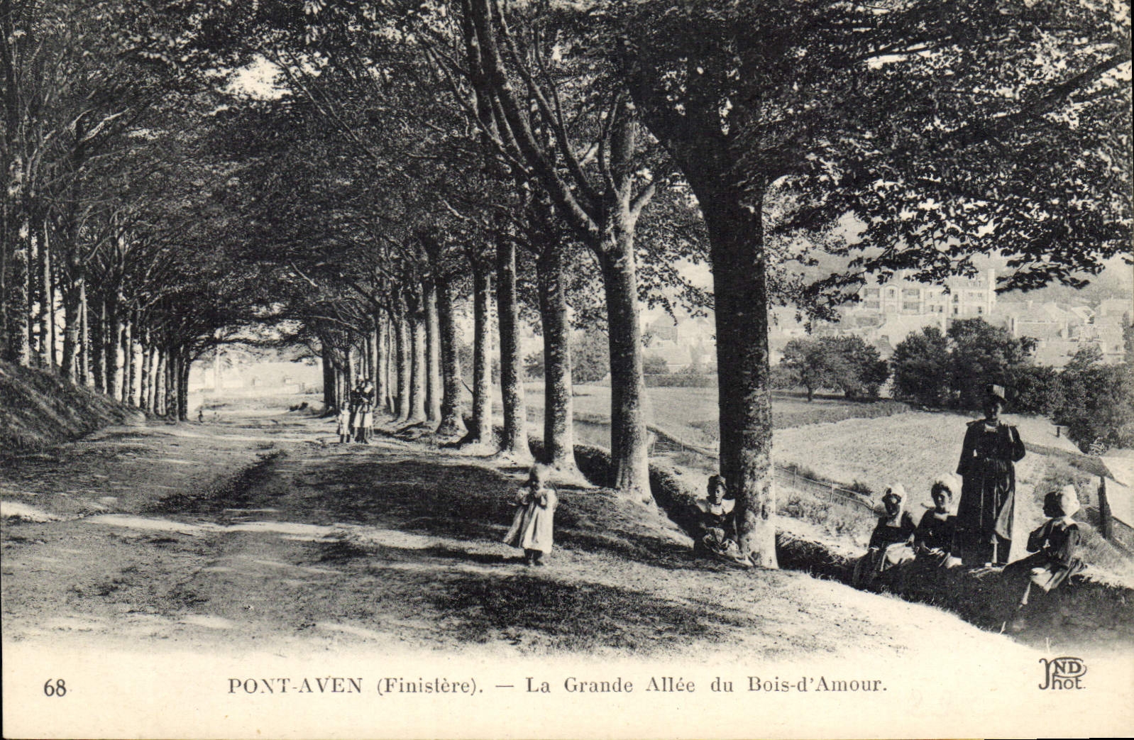 CPA Pont Aven Finistere La Grande Allee du Bois d'Amour 