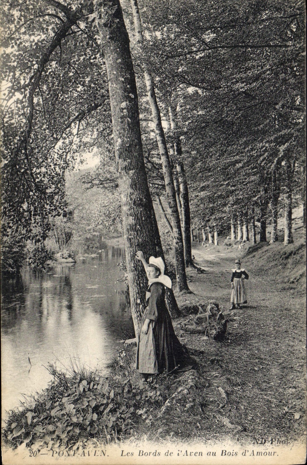 CPA Pont Aven Les Bords de d'Aven au Bois d'Amour 